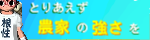 バナー