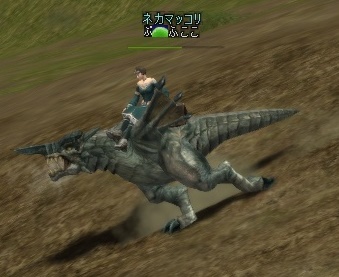 d550.jpg