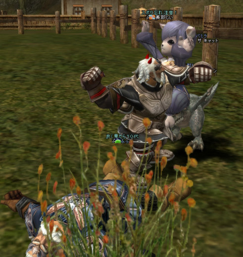 d593.jpg