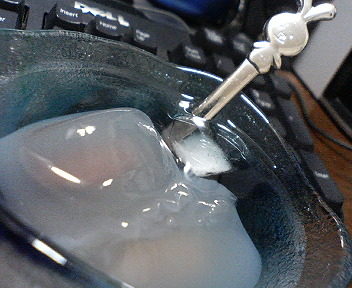r01.jpg